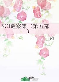 SCI谜案集（第五部）